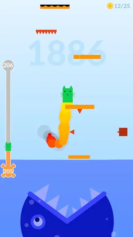 小猫起来！