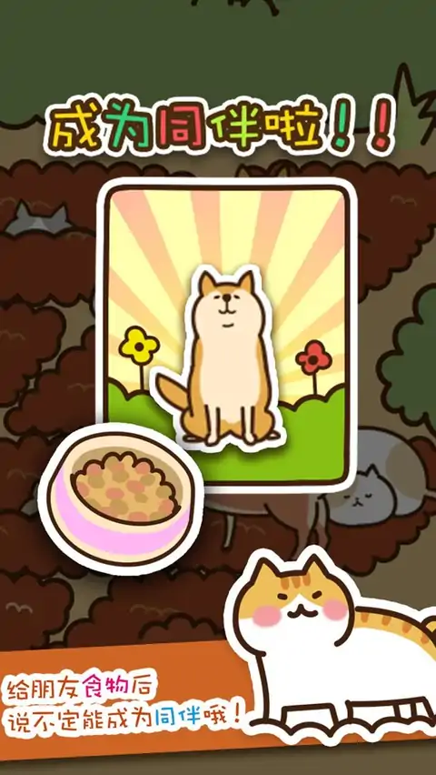 猫咪田园 猫咪田园
