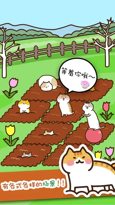 猫咪田园 猫咪田园