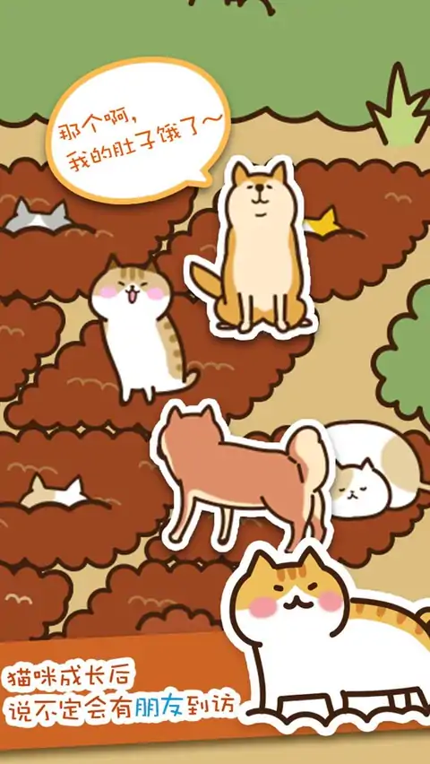 猫咪田园 猫咪田园