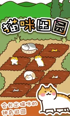 猫咪田园 猫咪田园