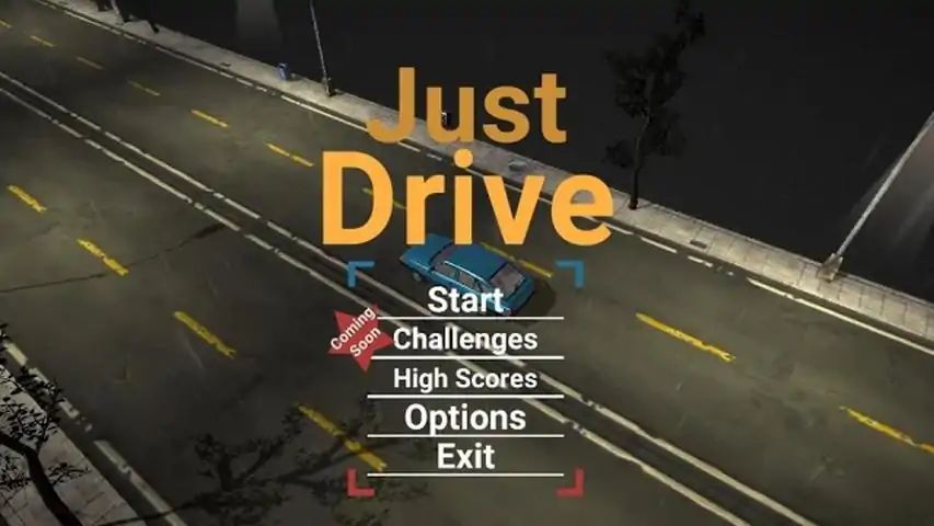 只是开车