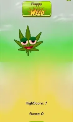 会飞的草
