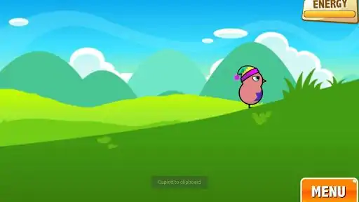 鸭子生活