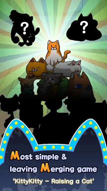 养猫