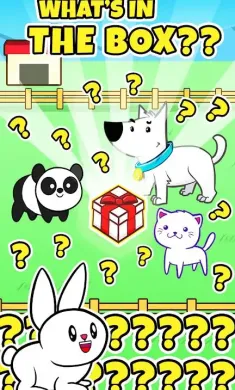 动物进化