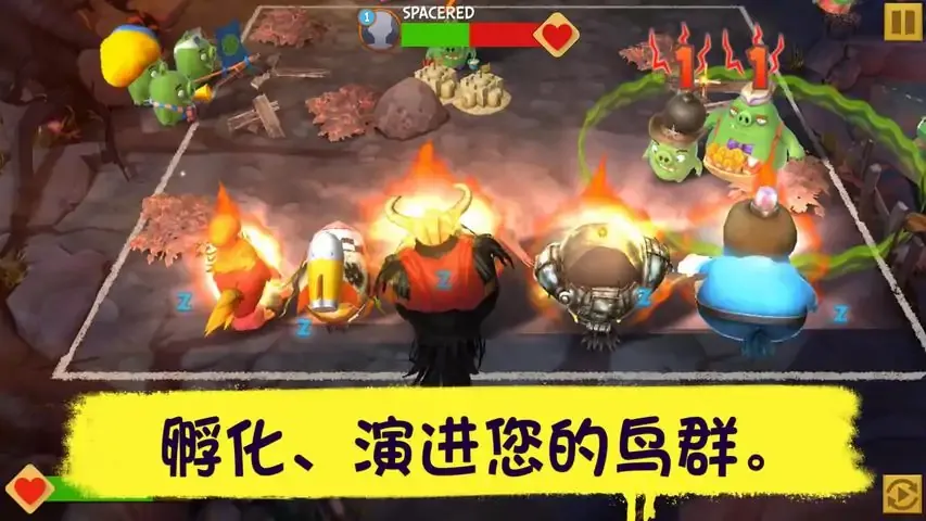愤怒的小鸟：进化