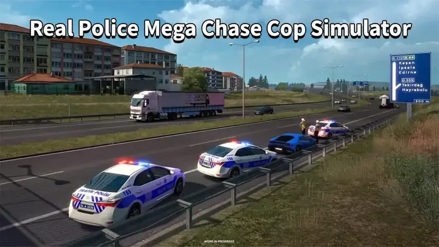 真正的警察模拟器