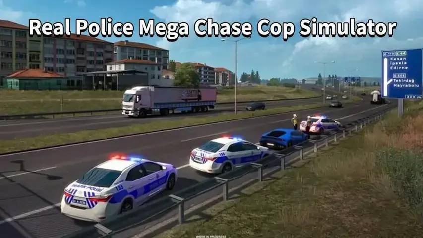 真正的警察模拟器