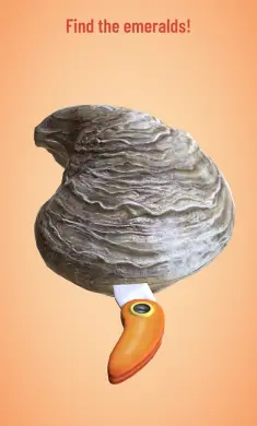 开珍珠