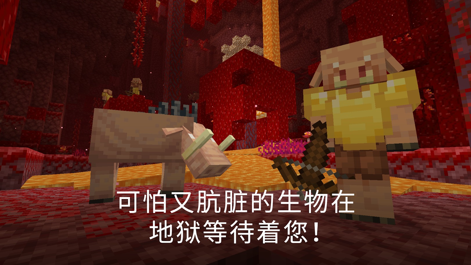 我的世界:龙骑士模组