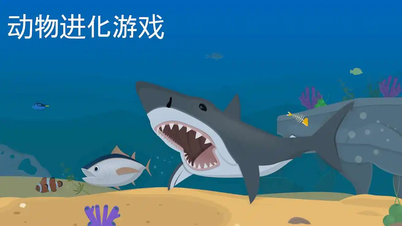 动物进化