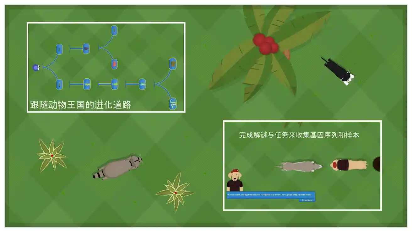 动物进化