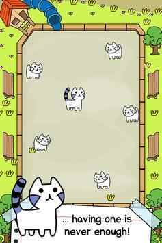 猫咪进化