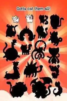 猫咪进化