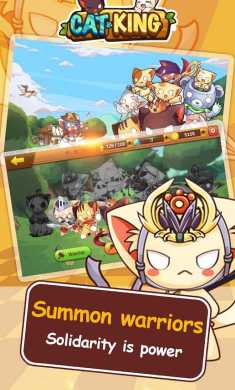 猫咪之王高级版