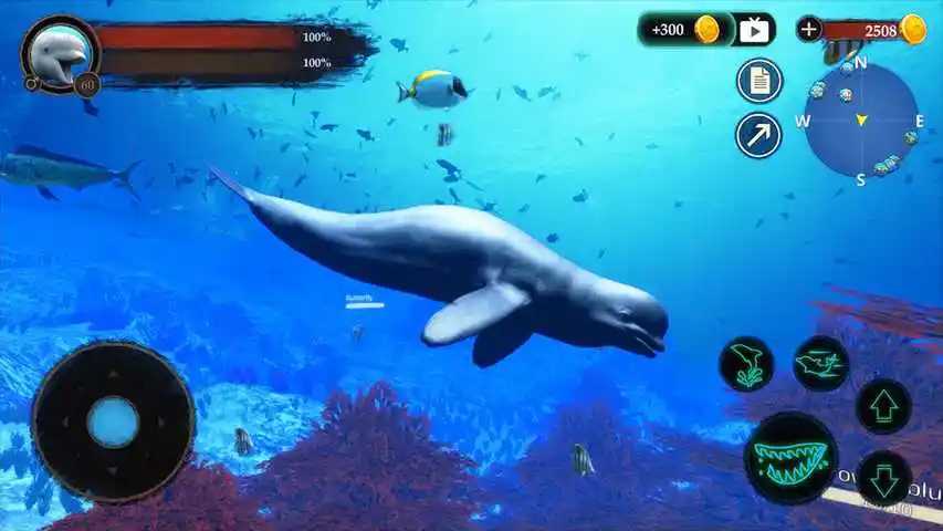 The Beluga Whale(白鲸模拟器)