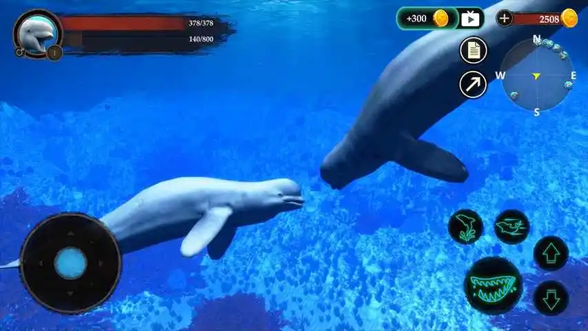 The Beluga Whale(白鲸模拟器)
