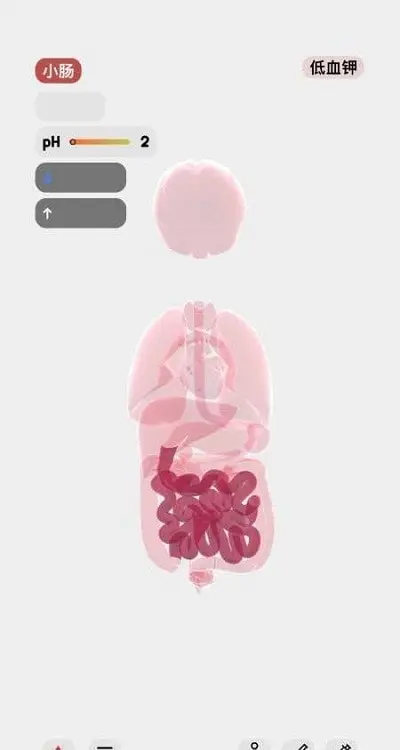 生命:人体模拟器