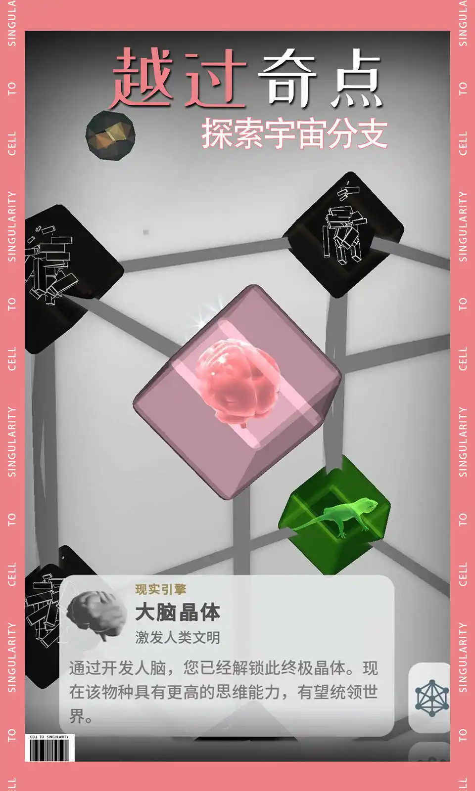 从细胞到奇点