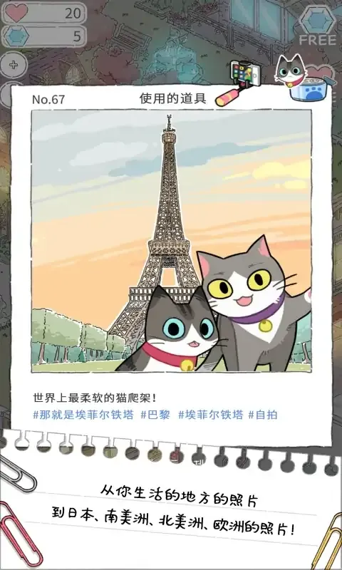 猫友圈：猫咪的旅行