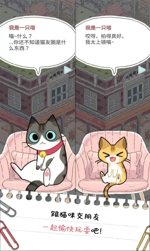 猫友圈：猫咪的旅行