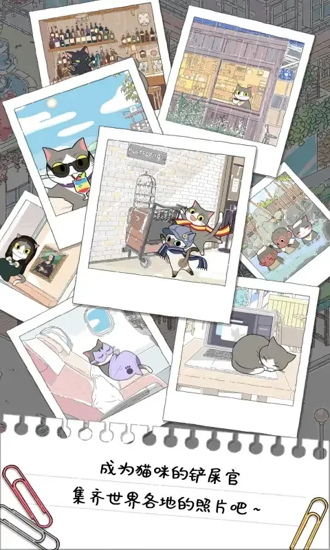 猫友圈：猫咪的旅行