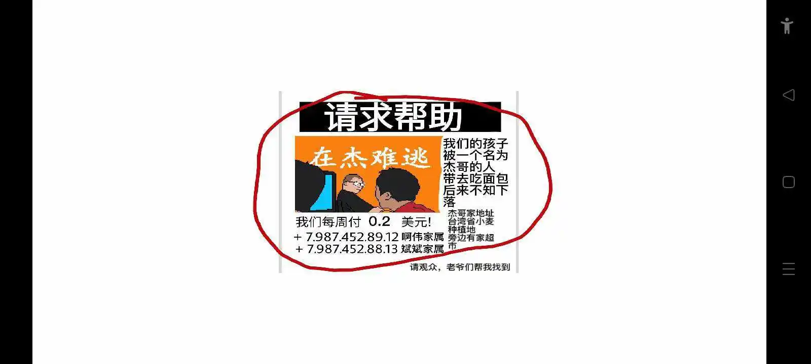 小猪佩奇的午夜后宫杰哥版