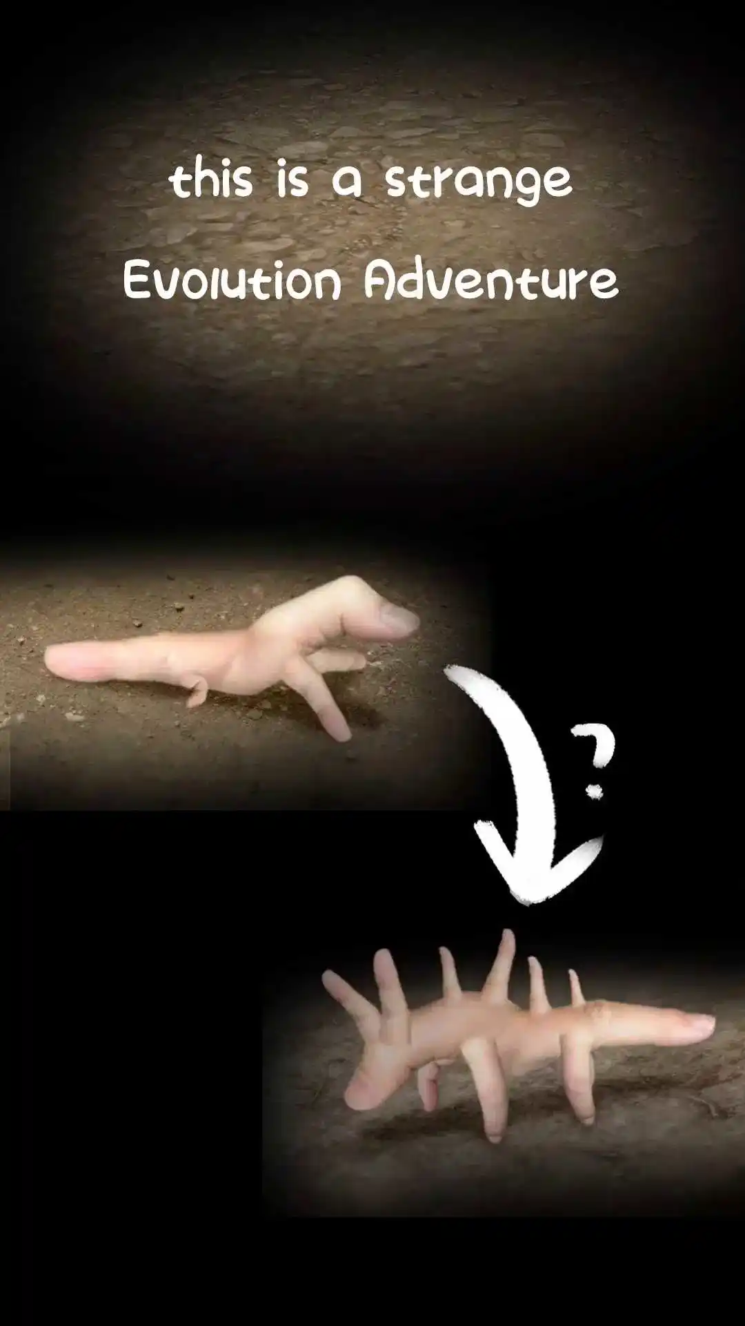 手指错觉