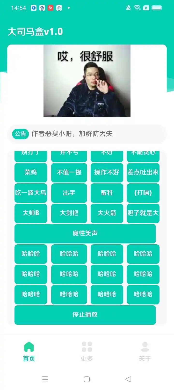 大司马盒