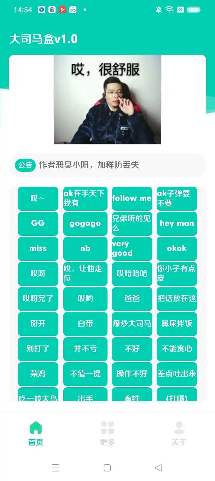 大司马盒