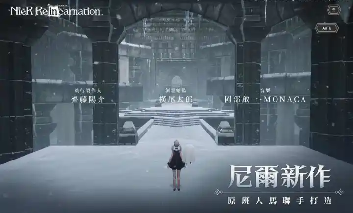 尼尔康乃馨