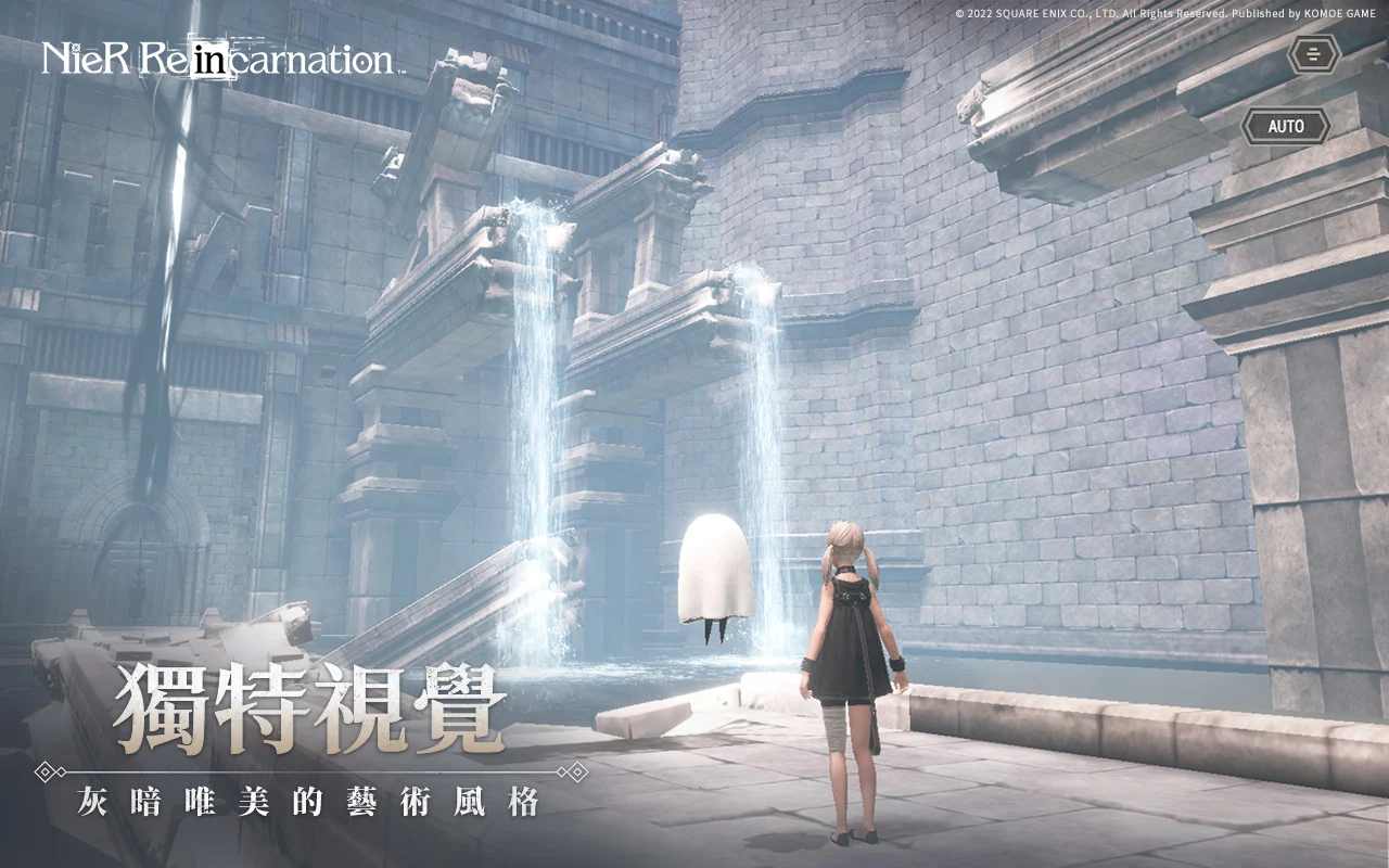 尼尔康乃馨