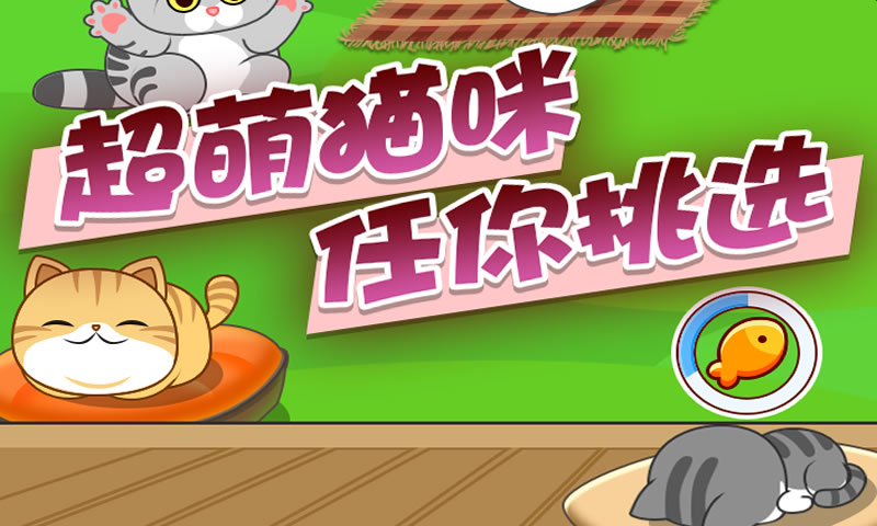 梦幻猫咪