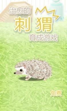治愈的刺猬