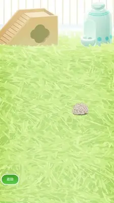 治愈的刺猬