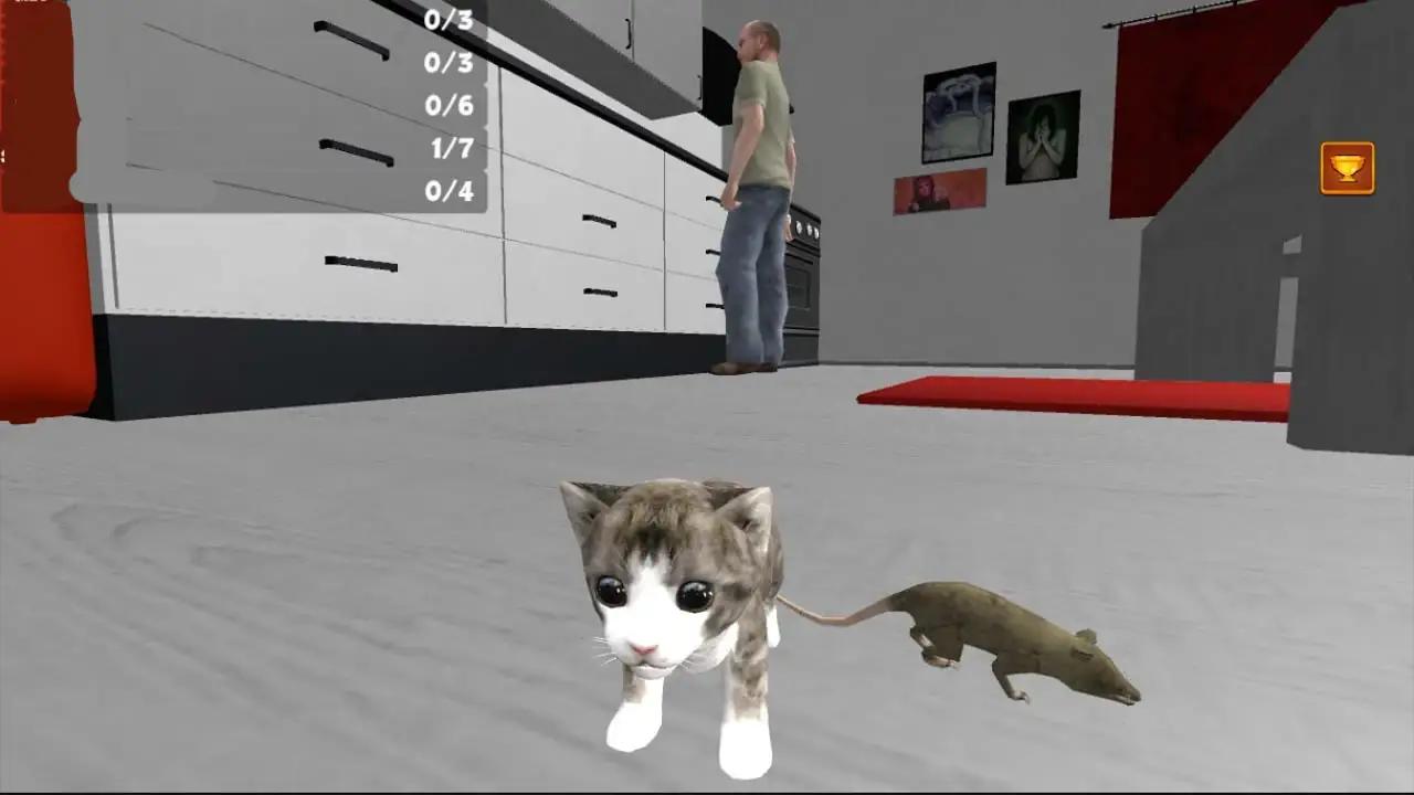 猫咪之家
