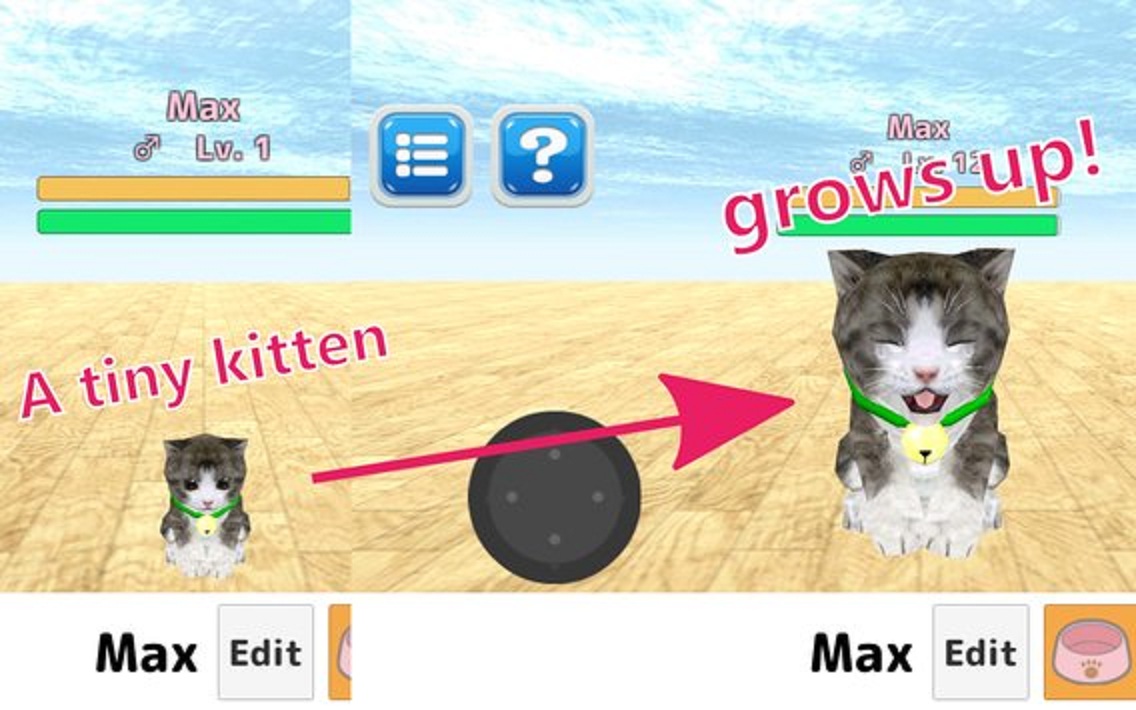 养猫