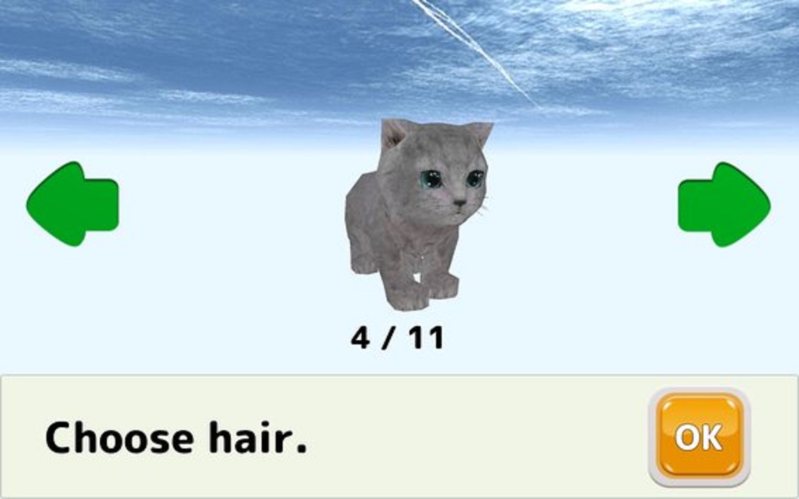 养猫