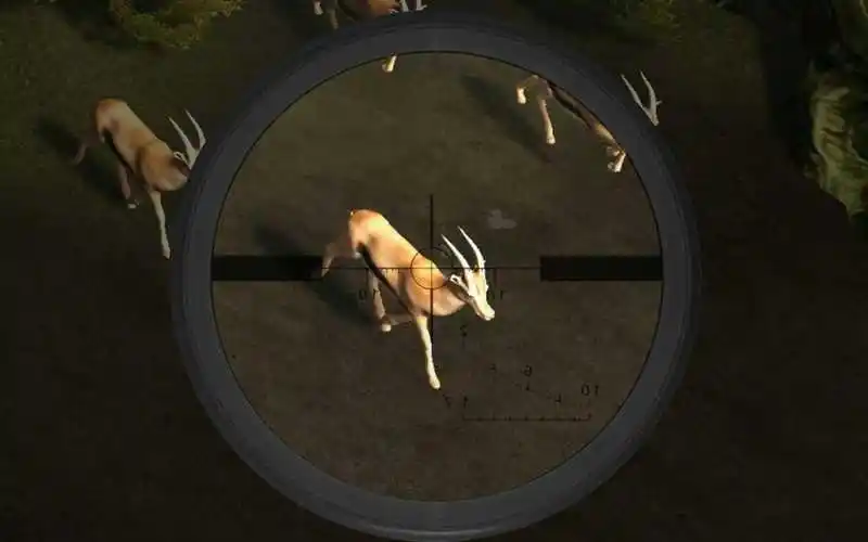 狙击手猎人冠军：鹿射击
