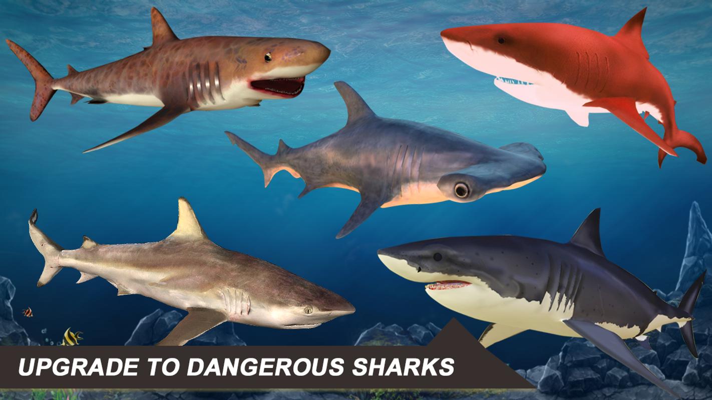 鲨鱼模拟器2018