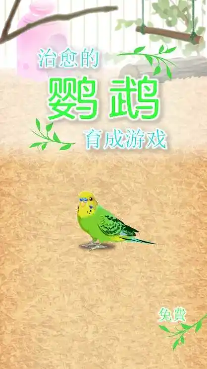 治愈的鹦鹉育成 治愈的鹦鹉育成