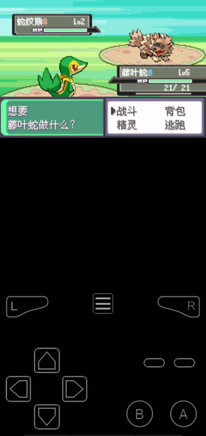 口袋妖怪漆黑的魅影