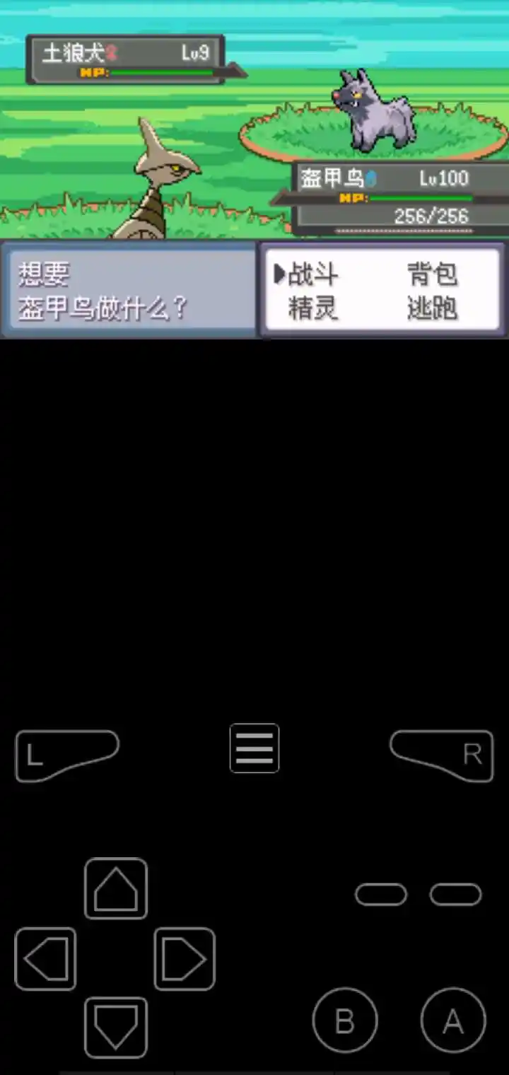 口袋妖怪 冠军的旅程
