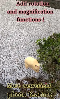 我的仓鼠