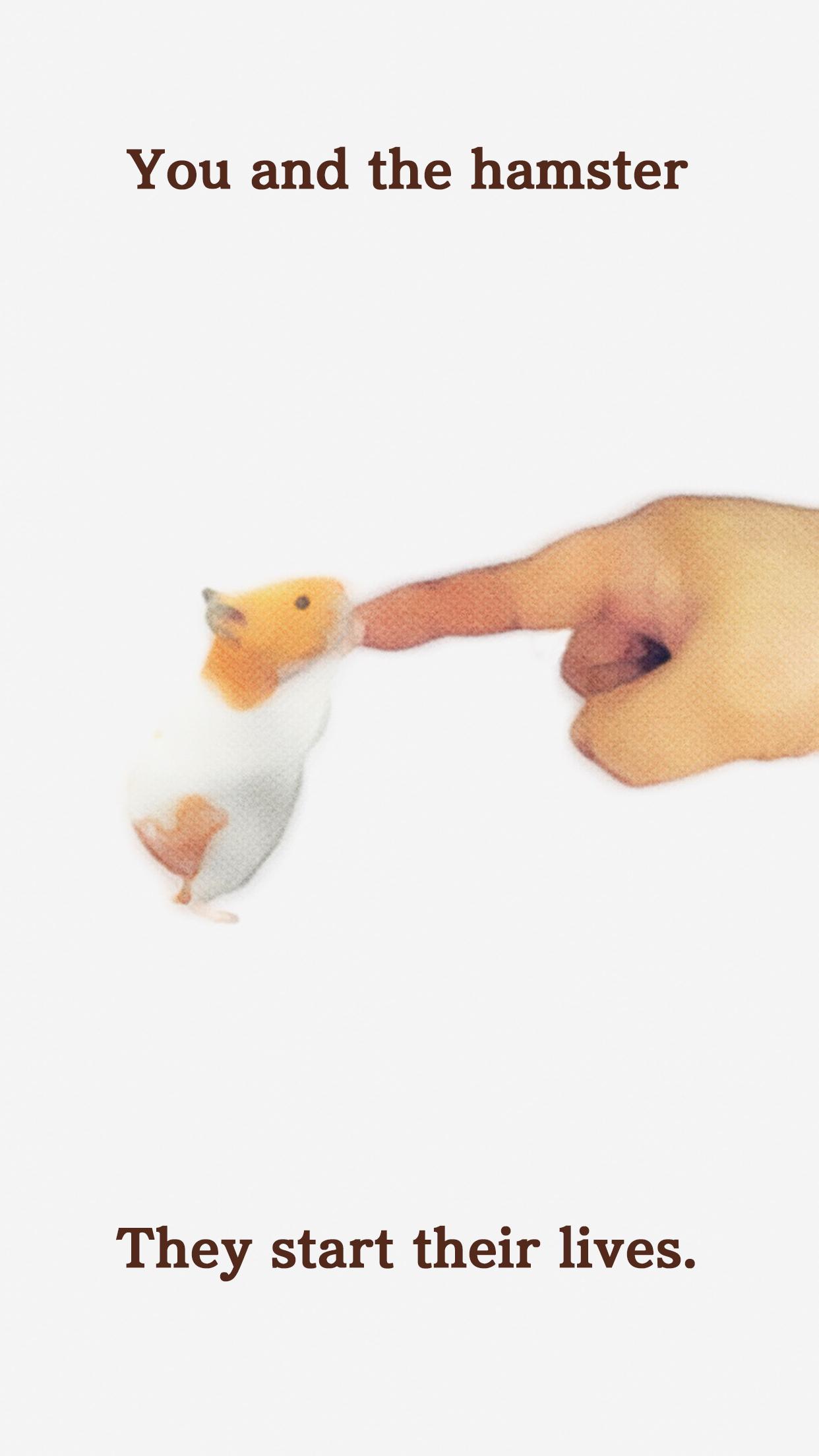 我的仓鼠