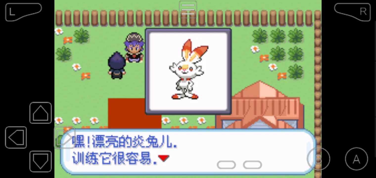口袋妖怪-剑盾汉化版