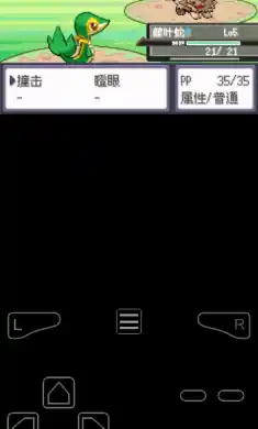 口袋妖怪漆黑的魅影