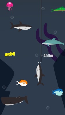 海洋鲨鱼