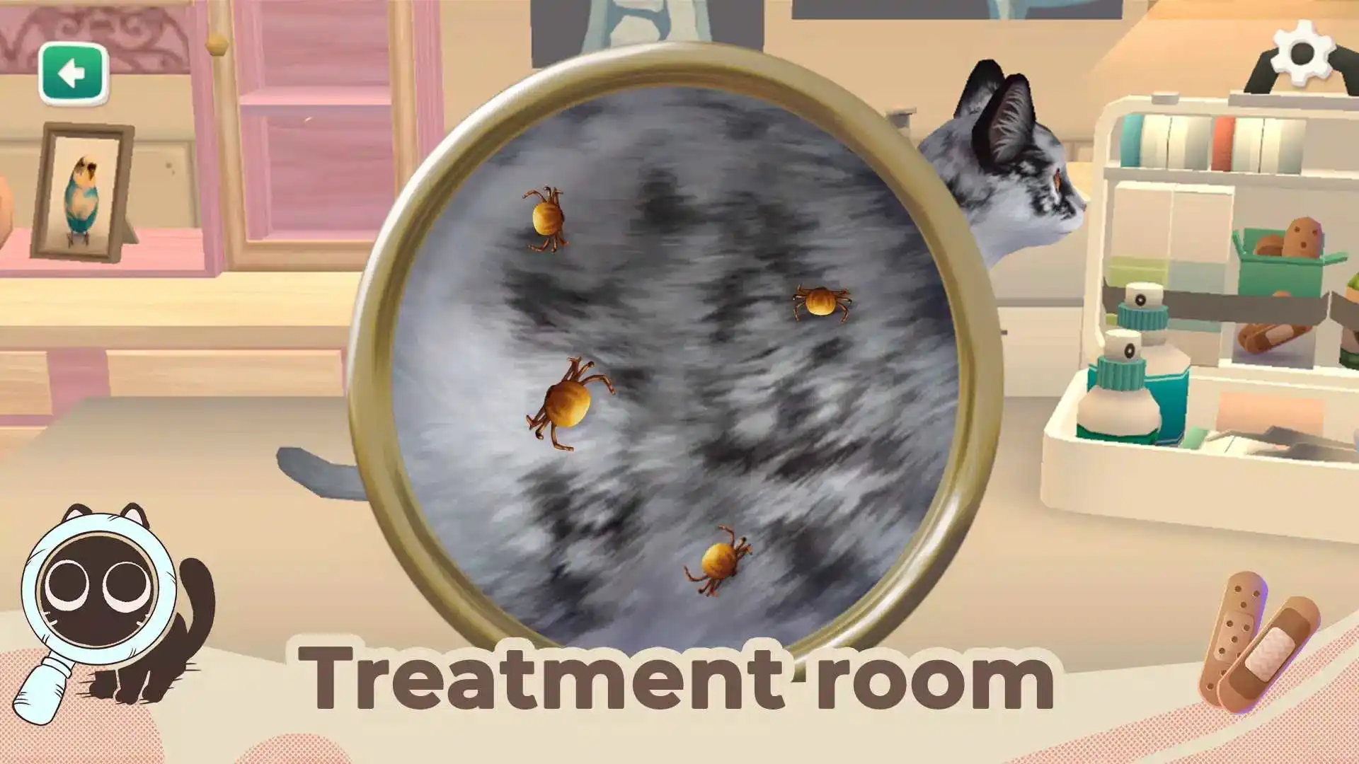 猫救援故事